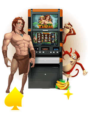 banner-acewin